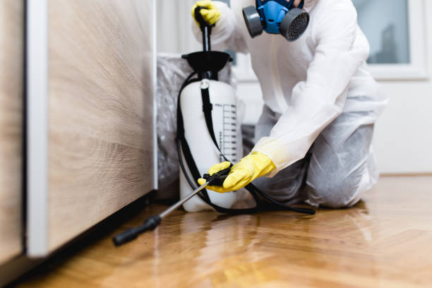 Best Pest Control Near Me  in Barnwell, SC