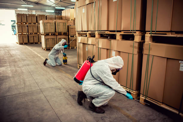 Best Best Pest Control Companies  in Barnwell, SC
