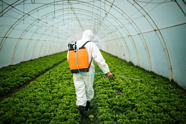 Pest Control for Restaurants in Barnwell, SC