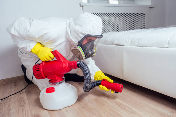 Flea Control Services in Barnwell, SC