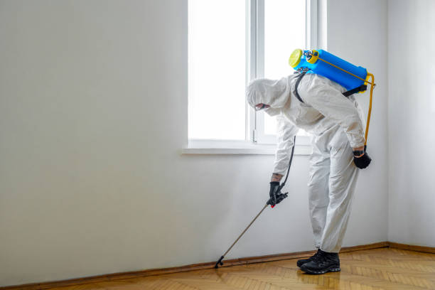 Best Wildlife Control Services  in Barnwell, SC
