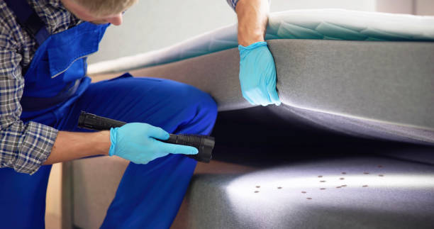 Best Pest Control for Restaurants  in Barnwell, SC
