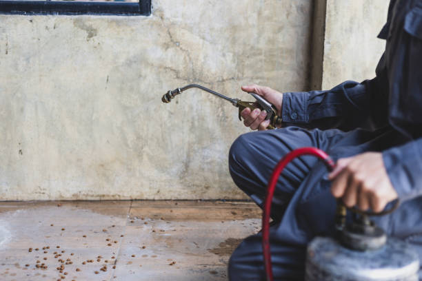 Best Exterminator Services  in Barnwell, SC